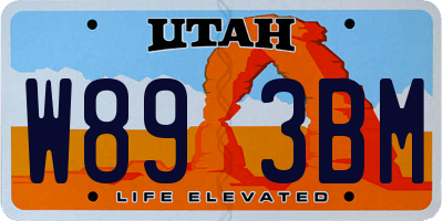 UT license plate W893BM