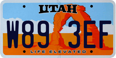 UT license plate W893EF