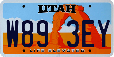 UT license plate W893EY