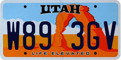 UT license plate W893GV