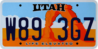 UT license plate W893GZ