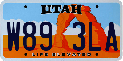 UT license plate W893LA