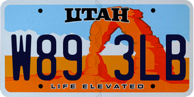 UT license plate W893LB