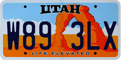 UT license plate W893LX