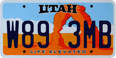 UT license plate W893MB