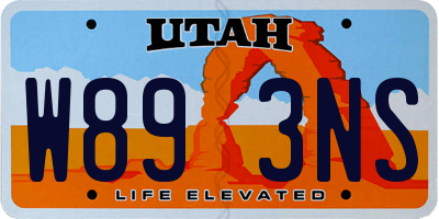 UT license plate W893NS