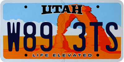 UT license plate W893TS