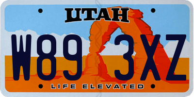 UT license plate W893XZ