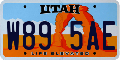 UT license plate W895AE