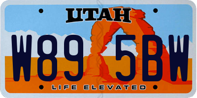 UT license plate W895BW
