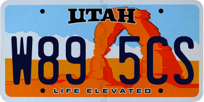 UT license plate W895CS