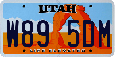 UT license plate W895DM