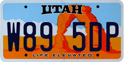 UT license plate W895DP