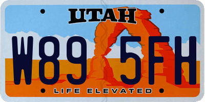 UT license plate W895FH