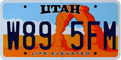 UT license plate W895FM