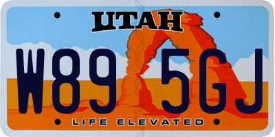UT license plate W895GJ