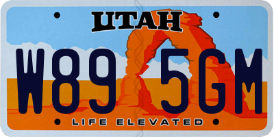 UT license plate W895GM