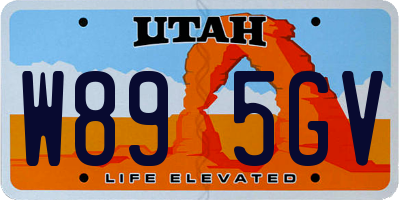 UT license plate W895GV