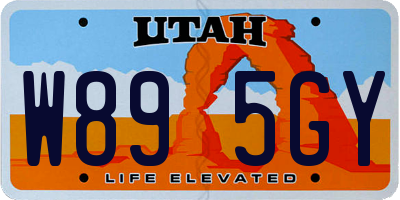 UT license plate W895GY