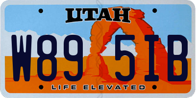 UT license plate W895IB