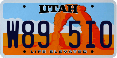 UT license plate W895IO