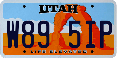 UT license plate W895IP