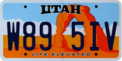 UT license plate W895IV