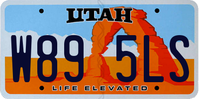 UT license plate W895LS