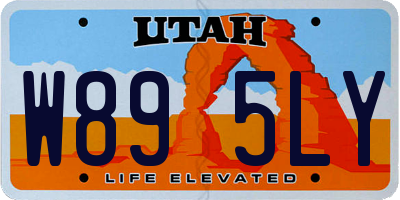 UT license plate W895LY