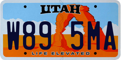 UT license plate W895MA