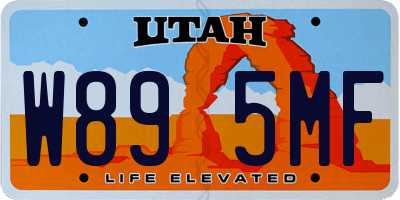 UT license plate W895MF