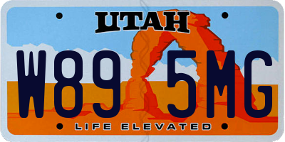 UT license plate W895MG