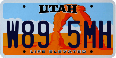 UT license plate W895MH