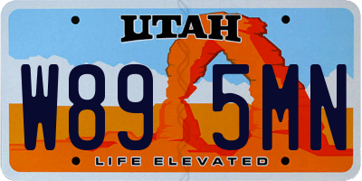 UT license plate W895MN