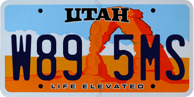UT license plate W895MS