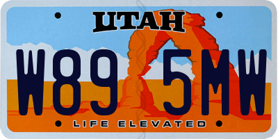 UT license plate W895MW