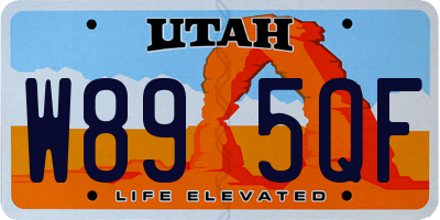 UT license plate W895QF