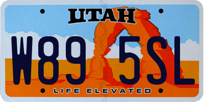 UT license plate W895SL