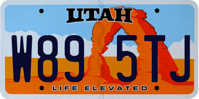 UT license plate W895TJ