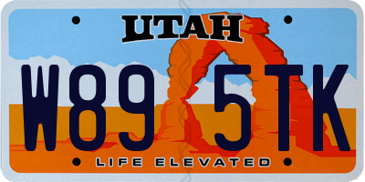 UT license plate W895TK