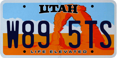 UT license plate W895TS