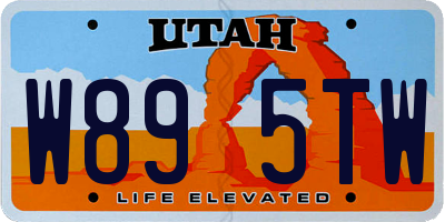 UT license plate W895TW