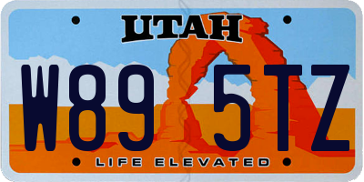 UT license plate W895TZ