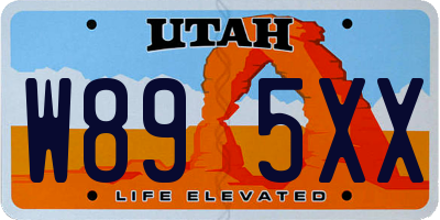 UT license plate W895XX