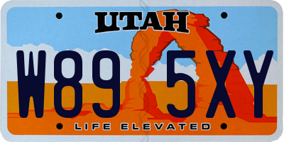 UT license plate W895XY