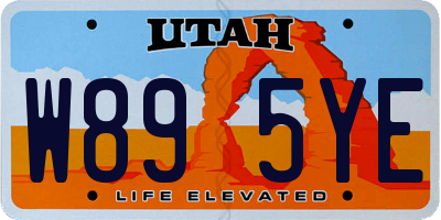UT license plate W895YE