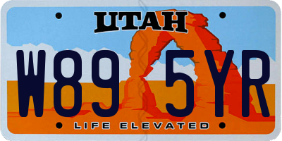 UT license plate W895YR