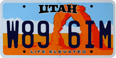UT license plate W896IM