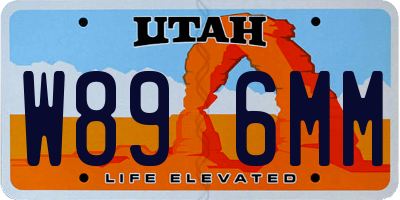 UT license plate W896MM