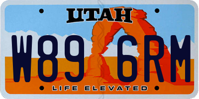UT license plate W896RM